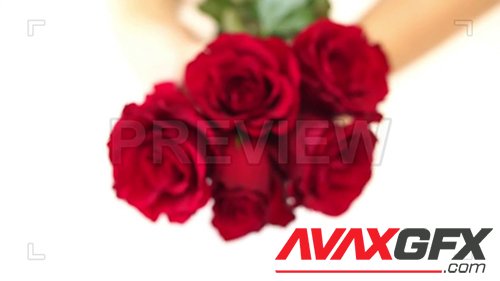 MotionArray - Bouquet of Red Roses 62953