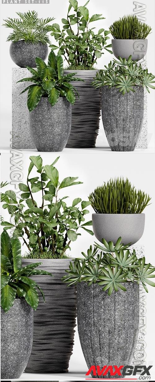 3D Models Plant set-115