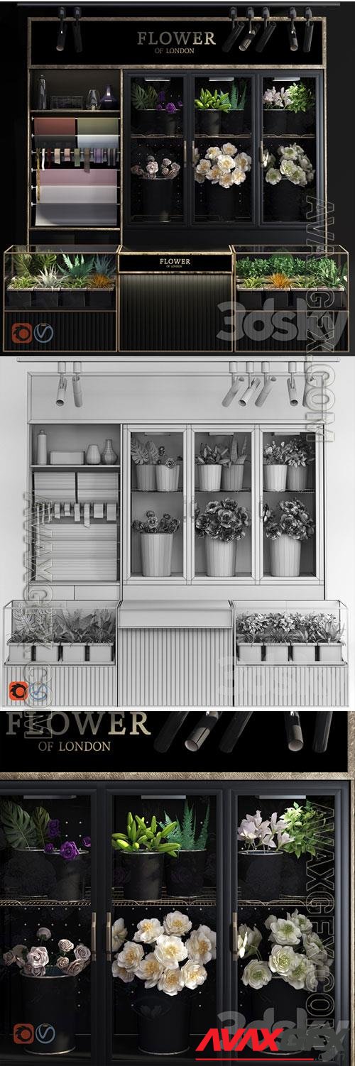 3D Models Flower Shop Refrigerated Display