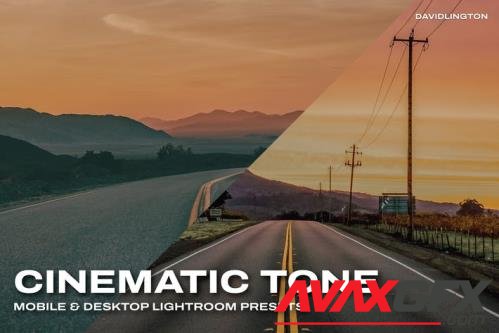 Cinematic Tone Lightroom Presets & LUTs