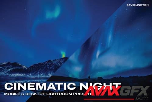 Cinematic Night Lightroom Presets & LUTs