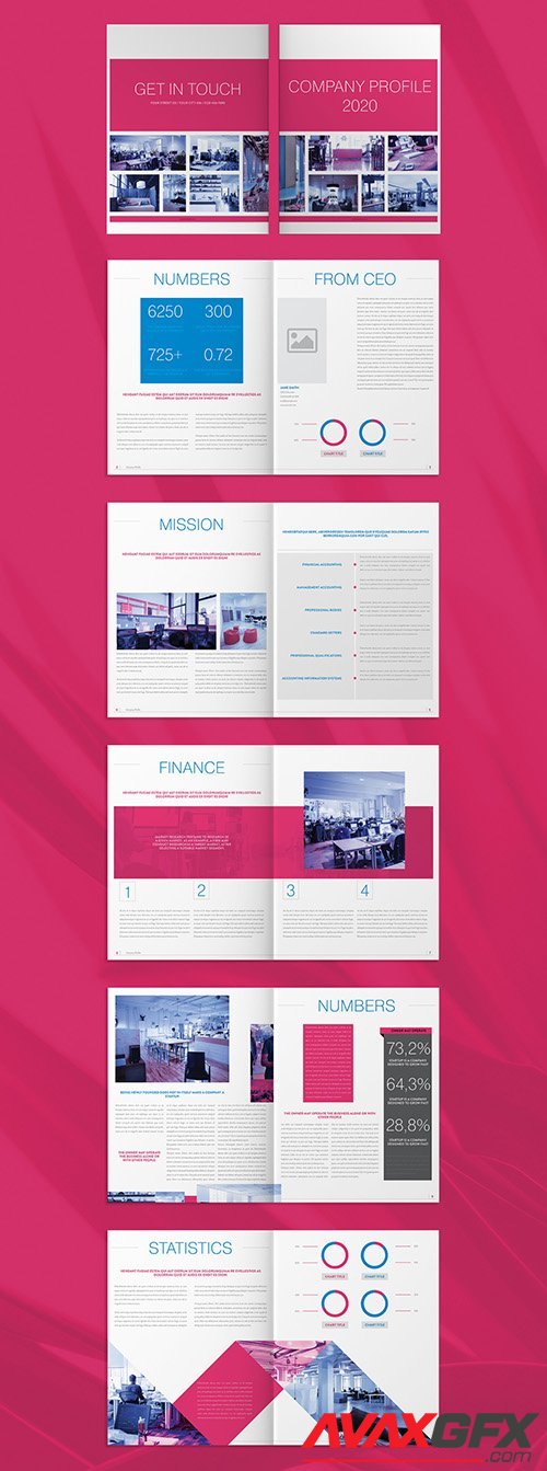 Company Profile Layout with Pink and Blue Accents 271661554