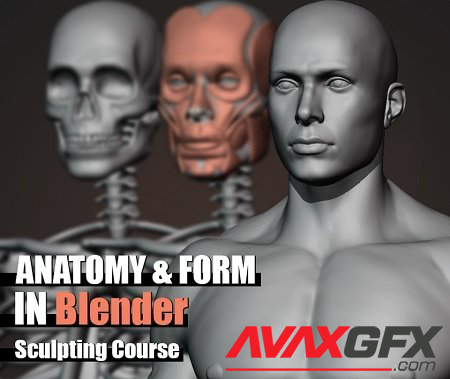 Anatomy and Form in Blender - Sculpting Course