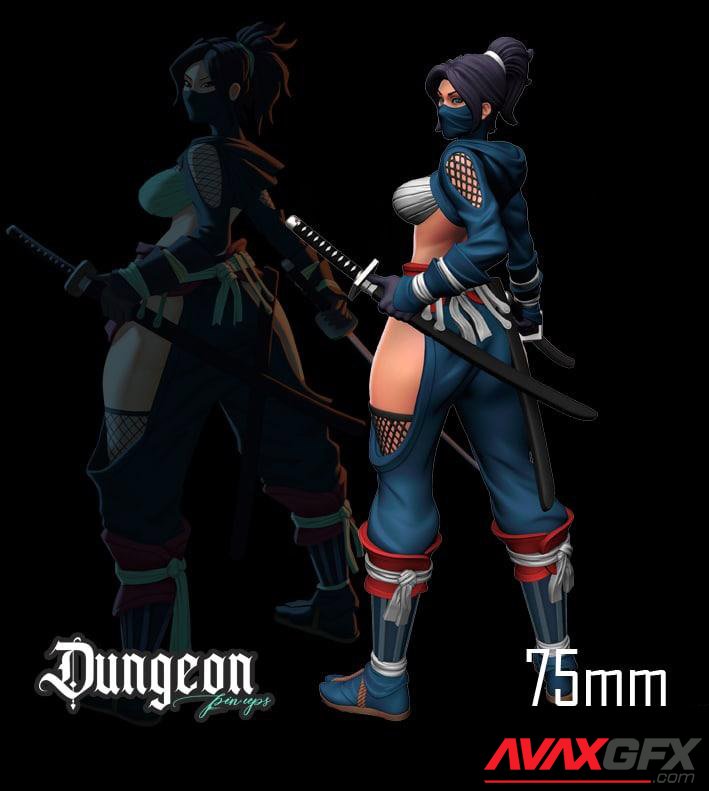 Ninja Dungeon Pin-ups April 2022 3D Print