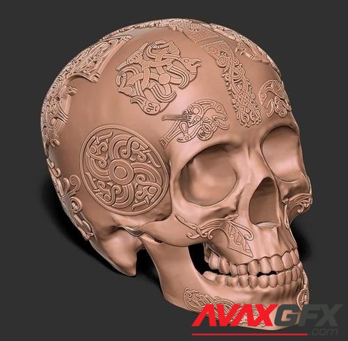 Viking Skull – 3D Print