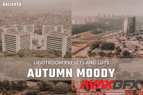 Autumn Moody LUTs and Lightroom Presets