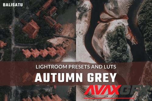 Autumn Grey LUTs and Lightroom Presets