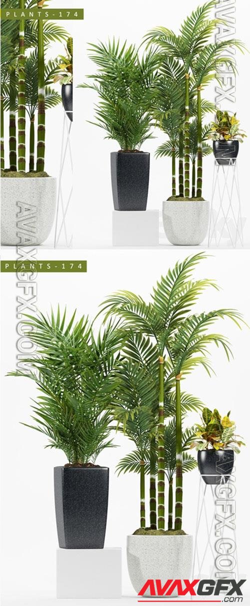 3D Models PLANTS 174