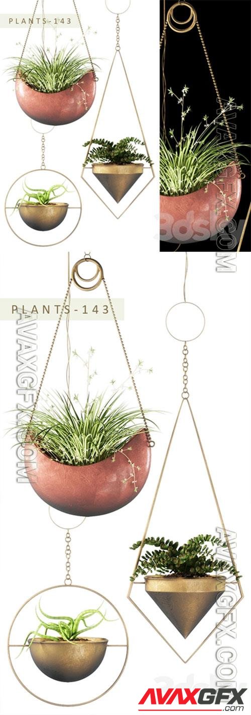 3D Models PLANTS 143