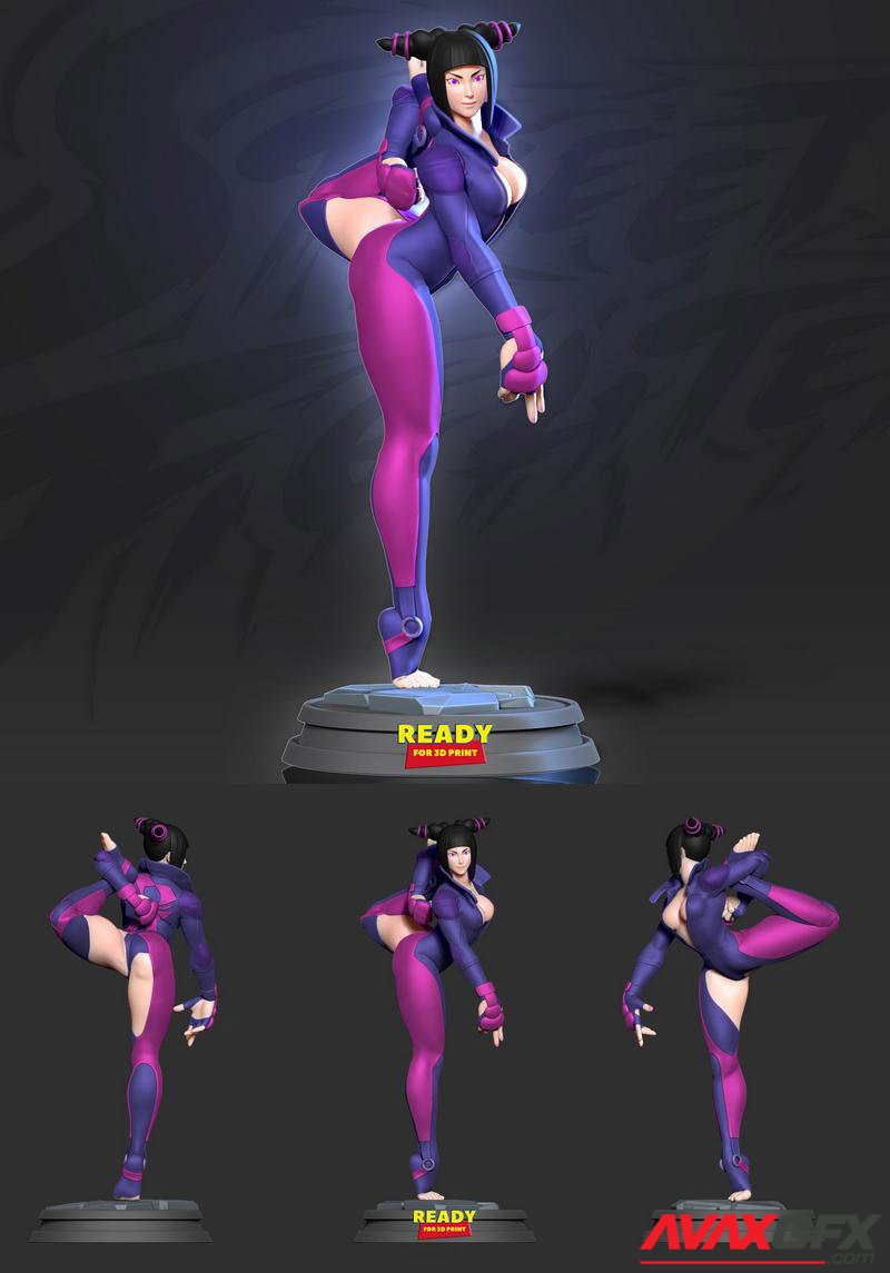 Juri Han Street Fighter 3D Print