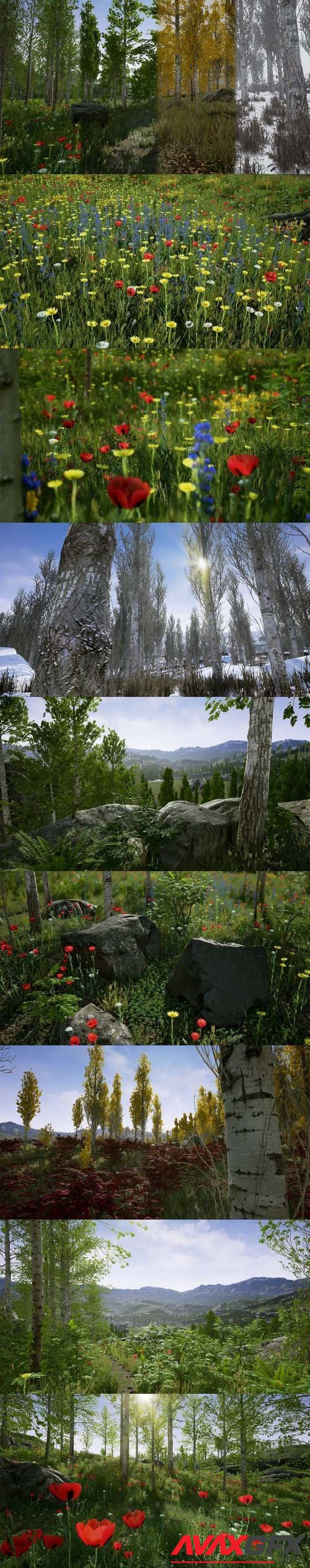 Cgtrader - Scanned Poplar and Aspen Forest with Seasons for Unreal Engine 4 Low-poly 3D model