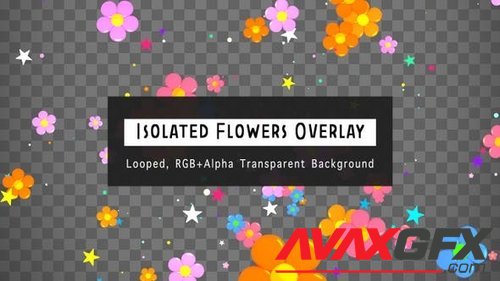 Videohive - Isolated Flowers Overlay 23630751