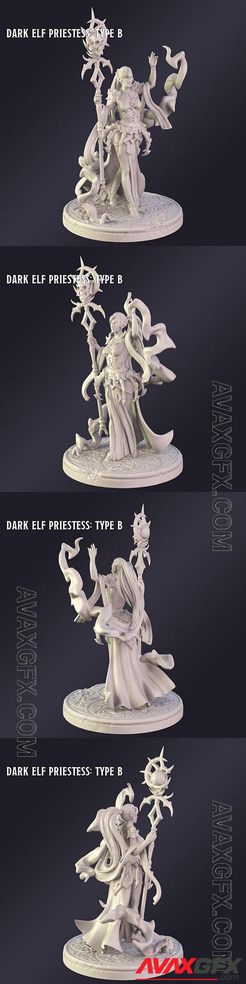 3D Print Models Dark Elf Priestes Type B