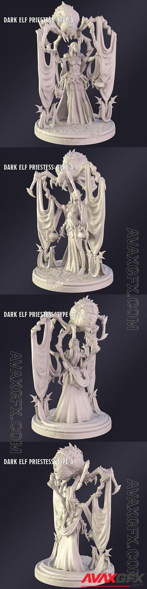 3D Print Models Dark Elf Priestes Type A