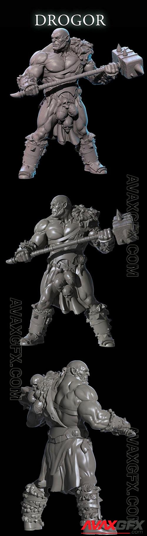 3D Print Models Drogor The Half Orc