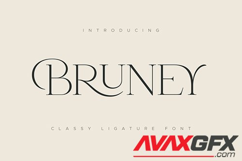 Bruney - Classy Ligature Font