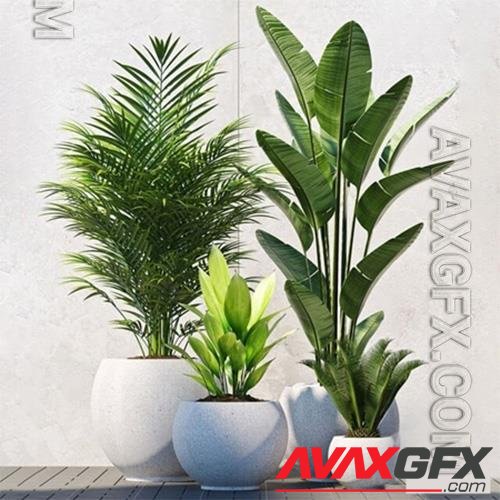 3D Models Plants 208