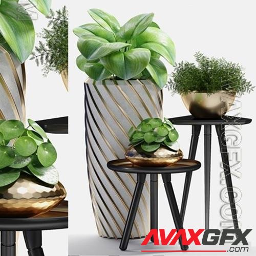 3D Models Plants 217