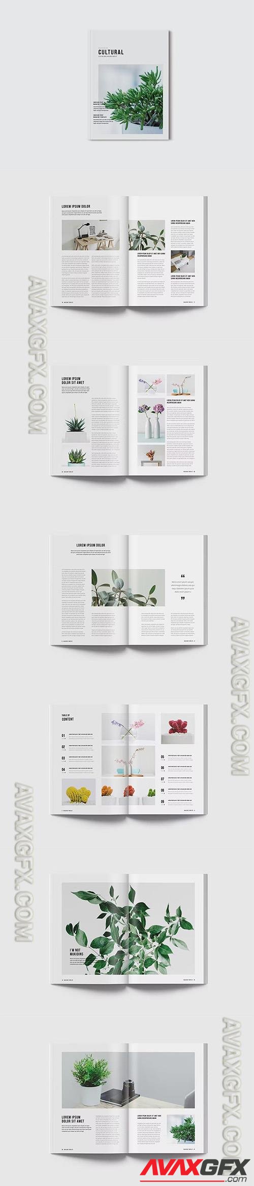 Clean Magazine Template