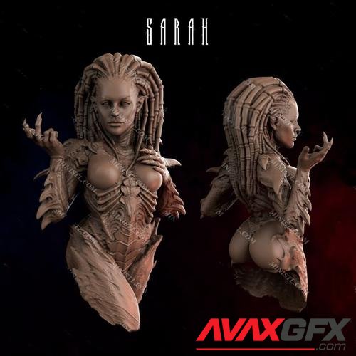 Sarah – 3D Print