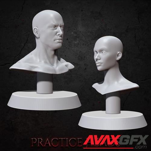 Practice Busts – 3D Print