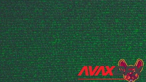 XSS Survival Guide