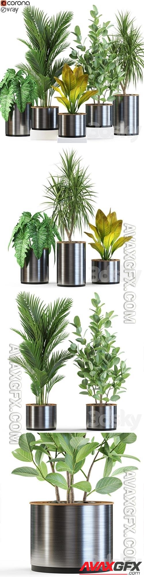 Plants collection 547 3D Model