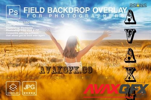 Ukraine Field Background - 7259714