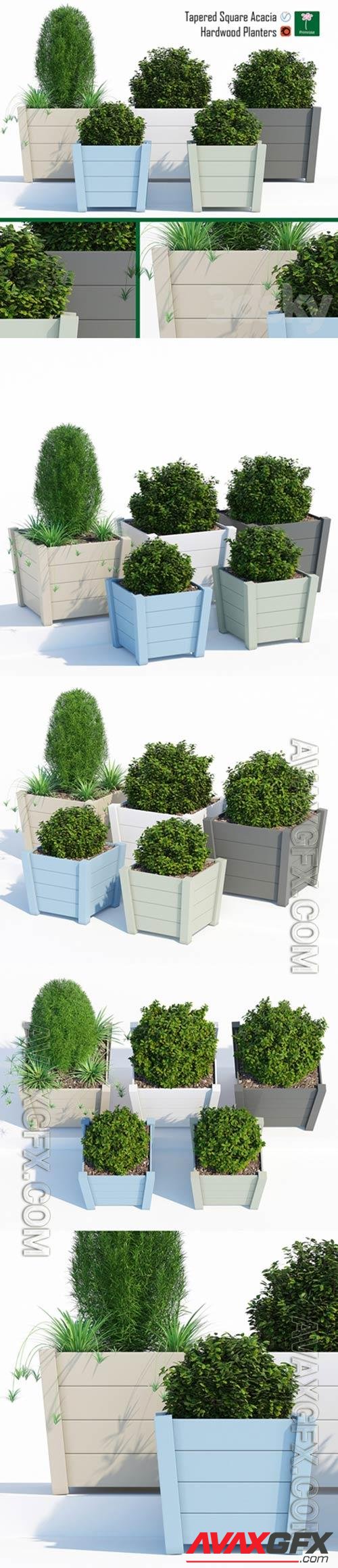 Hardwood Planters 2 3D Model