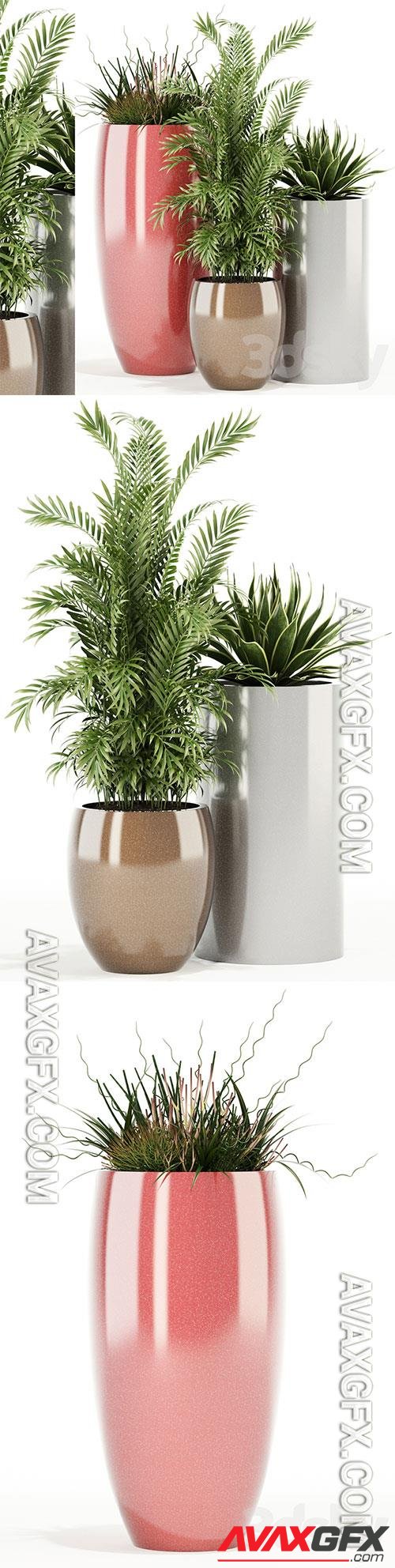 Plants Collection 100 Awesomeplanters 3D Model