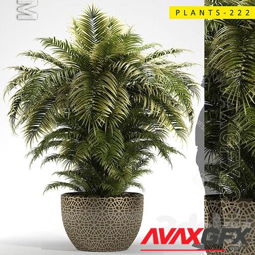 Plants Collection 222 3D Model