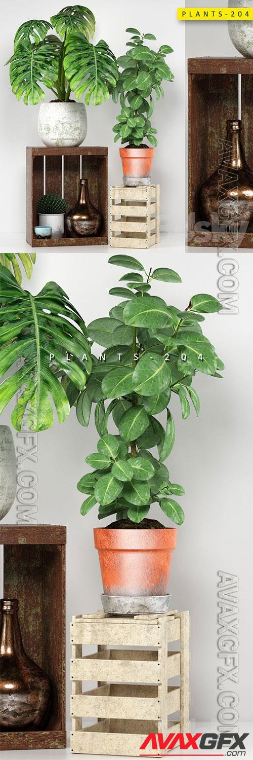 Plants Collection 204 3D Model