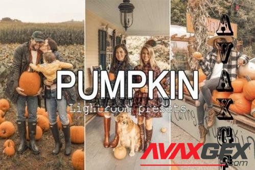 Pumpkin Lightroom Presets - 7268425