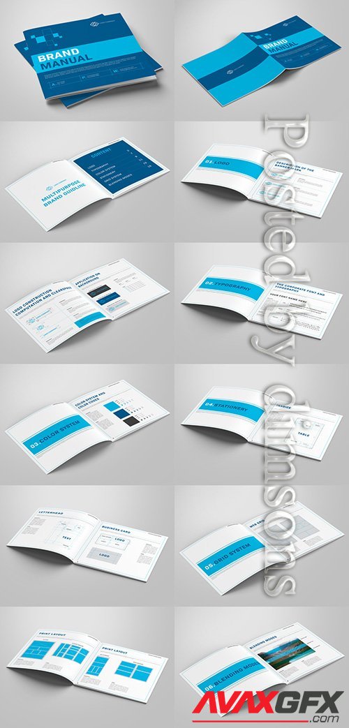 Brand Manual Layout with Blue Accents 236511237
