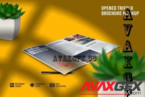 Opened Trifold Brochure Mockup - 7159165