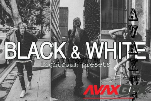 10 Black & White Lightroom Presets - 7247667