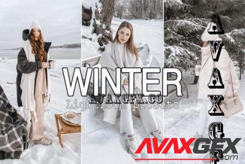 5 Winter Lightroom Presets - 7244364