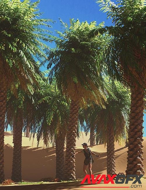 Predatron Date Palm Trees