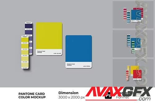 Pantone Card Color Mockup