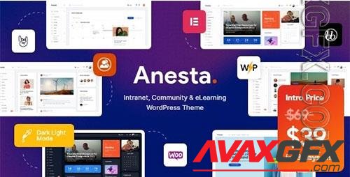 ThemeForest - Anesta v1.0.1 - Intranet, Extranet, Community and BuddyPress WordPress Theme - 38185608