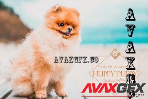 12 Huppy Puppy Photoshop Actions, Pet