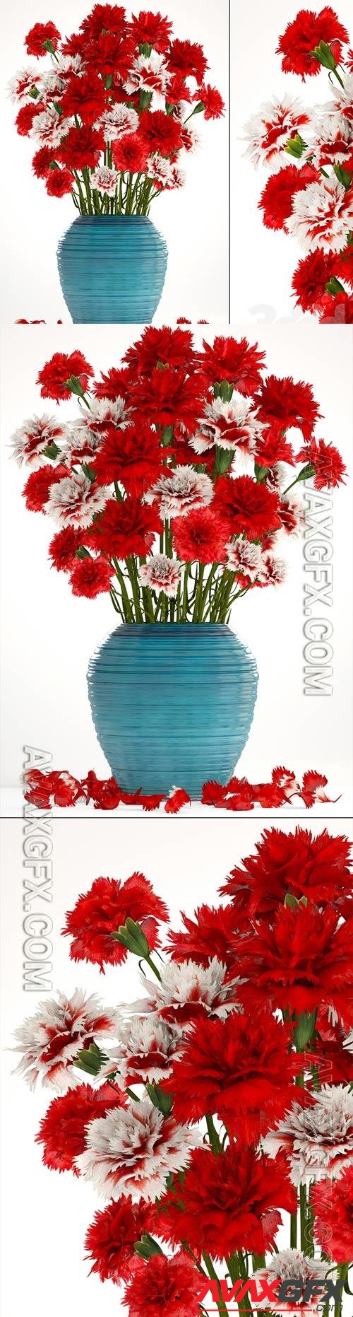 Collection of flowers 13 Carnation 3D Model