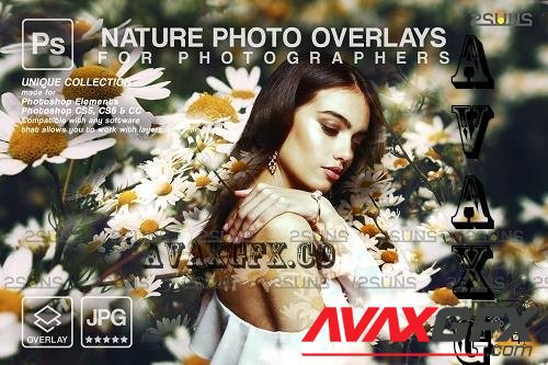 Digital flower backdrop overlays V17 - 7328734