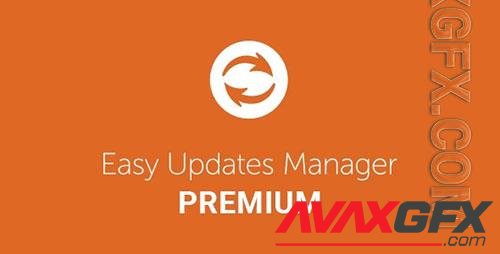 Easy Updates Manager Premium v9.0.13 - WordPress Plugin