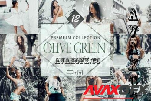 12 Photoshop Actions, Olive Green Ps