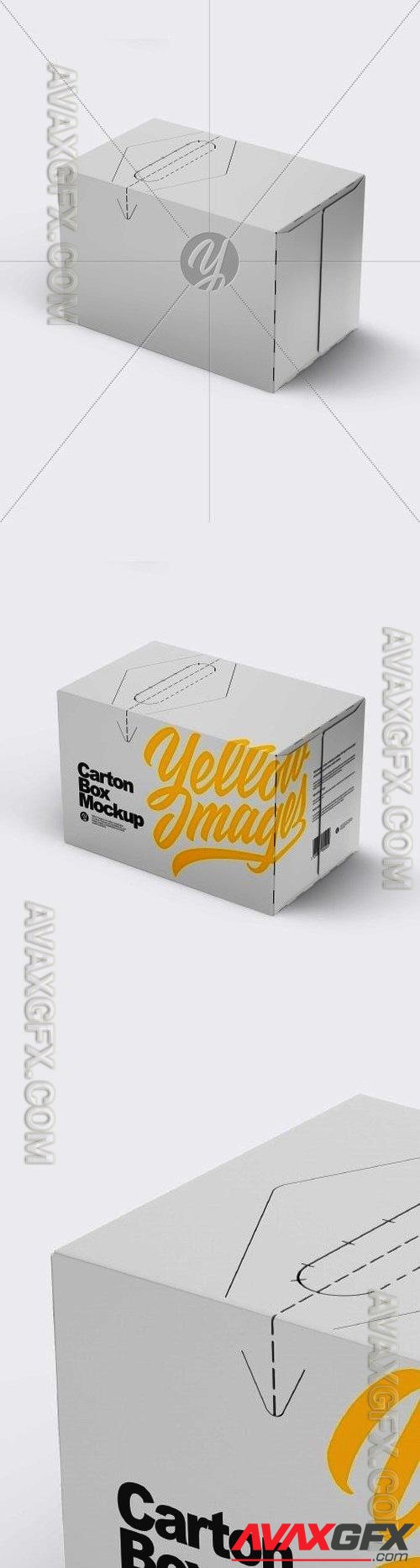 Carton Box Mockup 48259 TIF