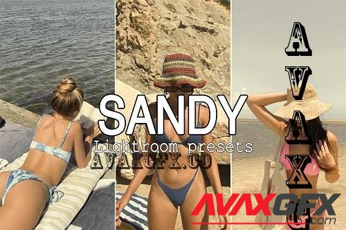 8 Sandy Lightroom Presets - 7303801