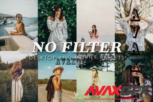 10 No Filter Lightroom Presets - 7334831