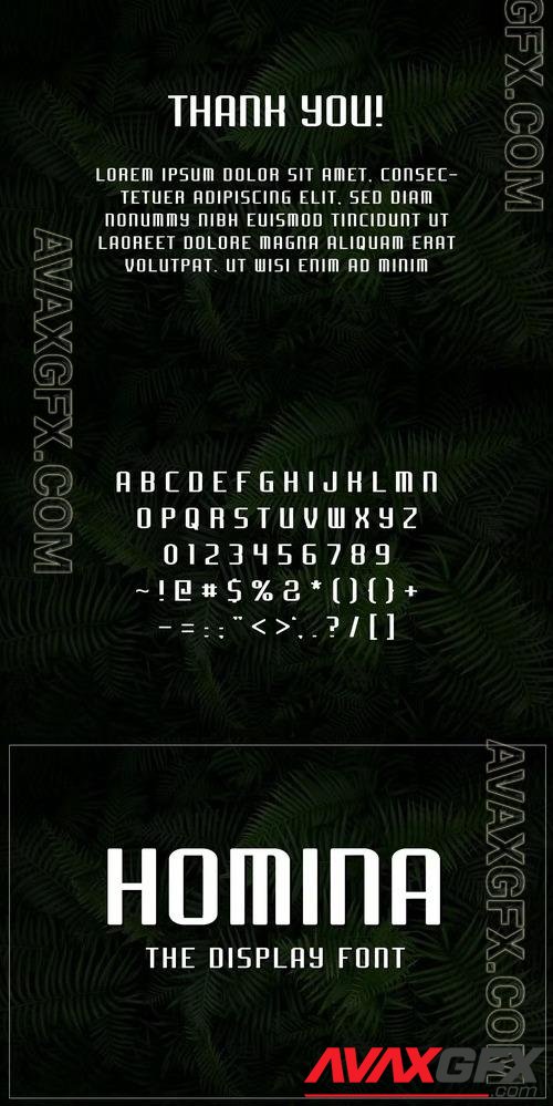 Homina - The display font NFWR9YQ