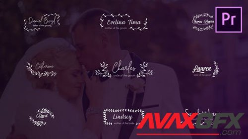 Wedding Titles and Lower Thirds 24656288